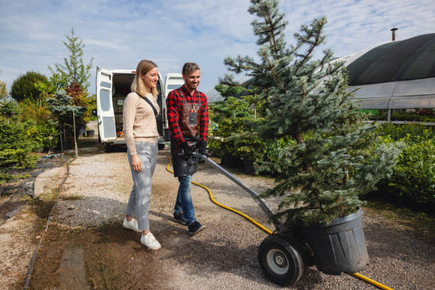 Lawn Grading and Leveling in Theresa, WI