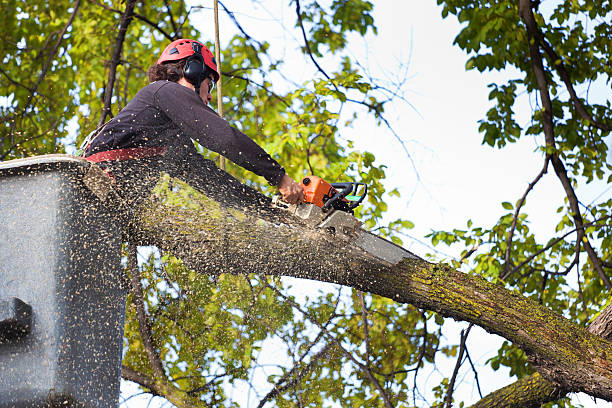 Soil Testing and Treatment in Theresa, WI